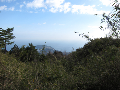 20200122hike (191)